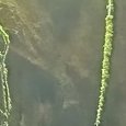 JPEG - 279.6 kio