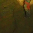 JPEG - 356.9 kio