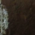 JPEG - 736.7 kio