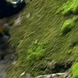 JPEG - 651.5 kio