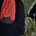 JPEG - 404.1 kio