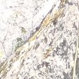 JPEG - 1.5 Mio