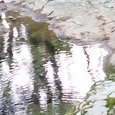 JPEG - 553.3 kio