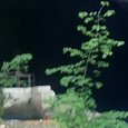 JPEG - 372.3 kio