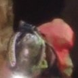 JPEG - 687.9 kio