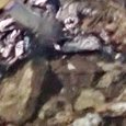 JPEG - 718.8 kio