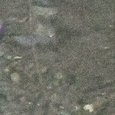 JPEG - 377.2 kio